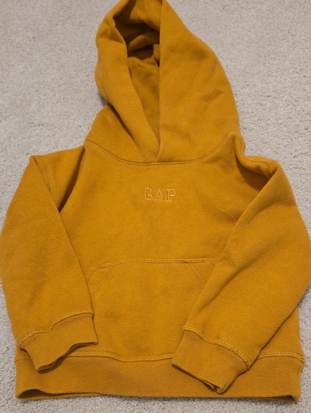 GAP 3T Hoodie